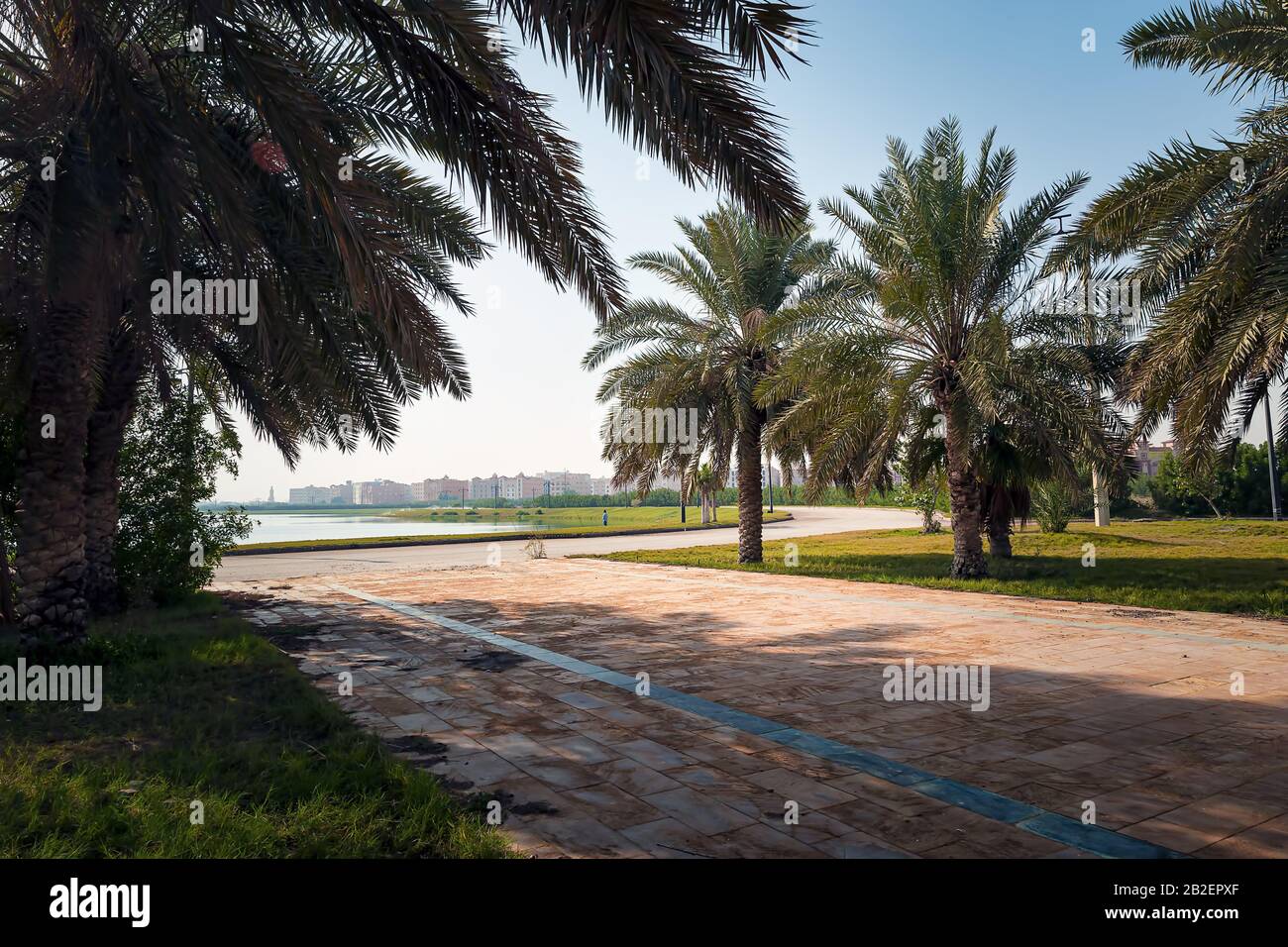 Palm pathway hi-res stock photography and images - Alamy