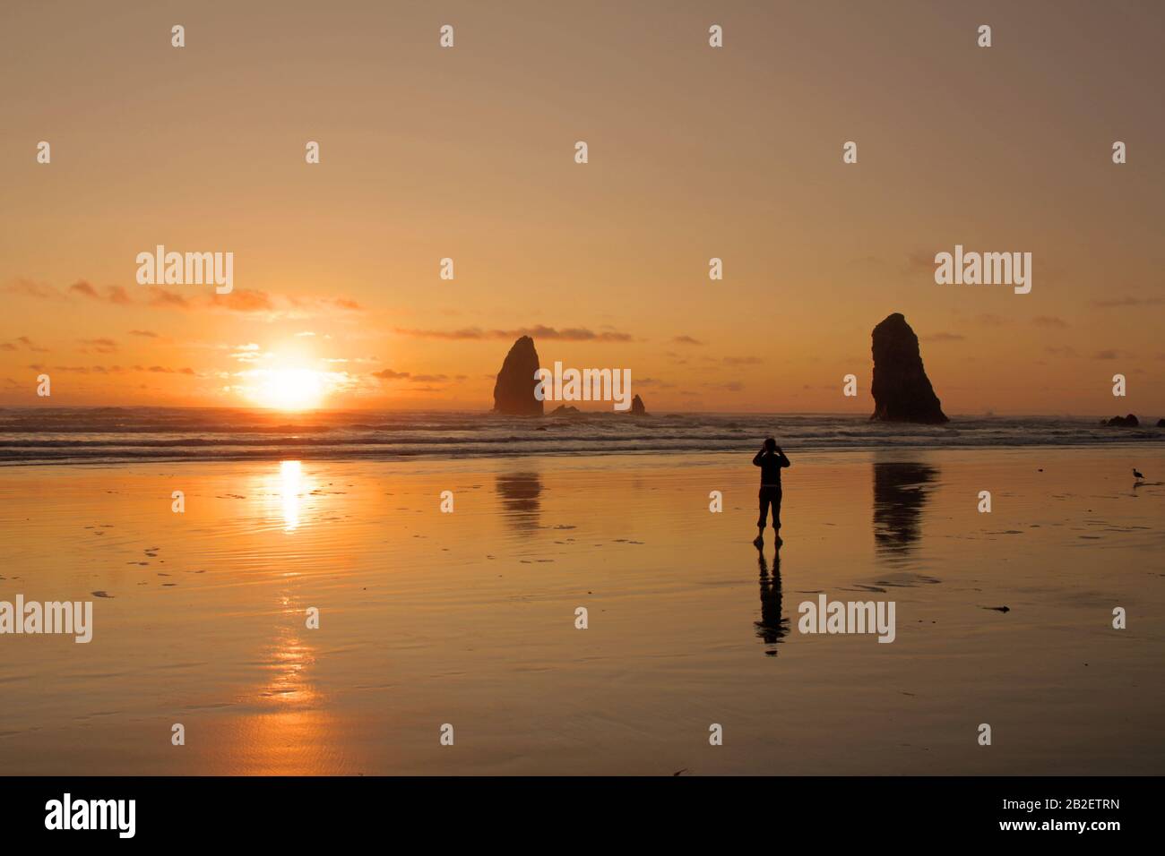 Cannon Beach, Oregon, USA Stock Photo Alamy