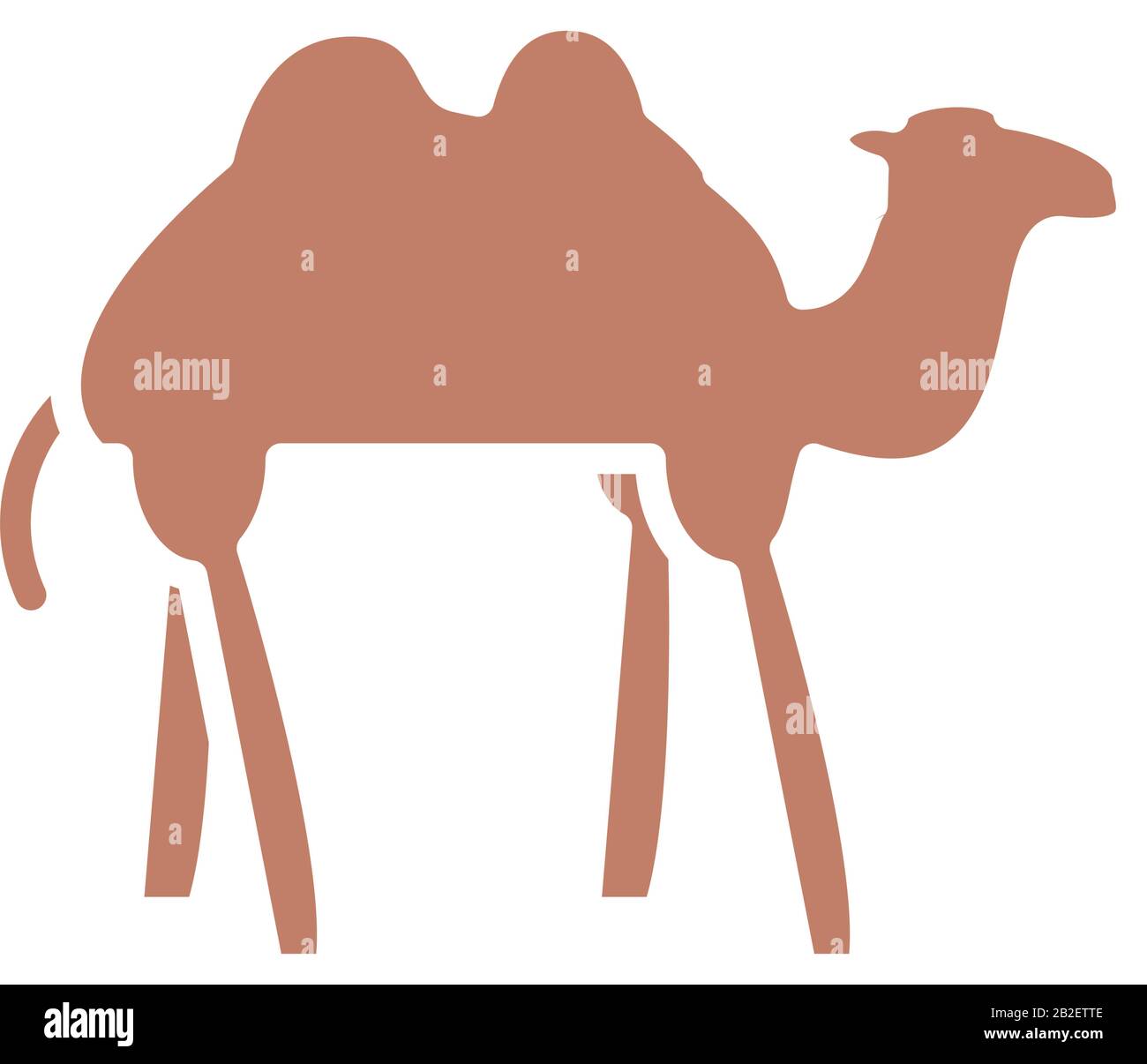 camel animal icon over white background, silhouette style, vector