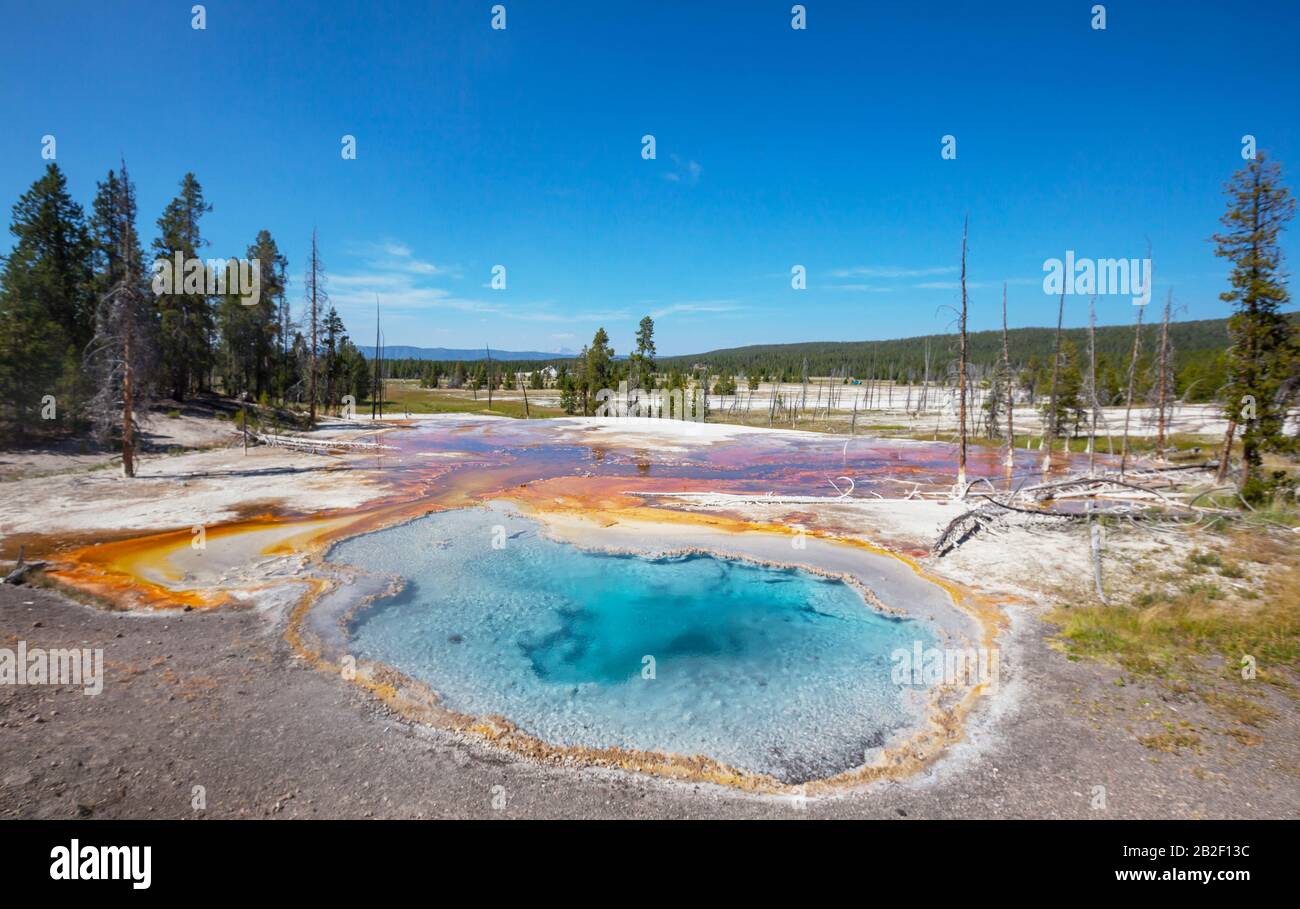 Inspiring natural background. Pools and geysers fields in Yellowstone ...