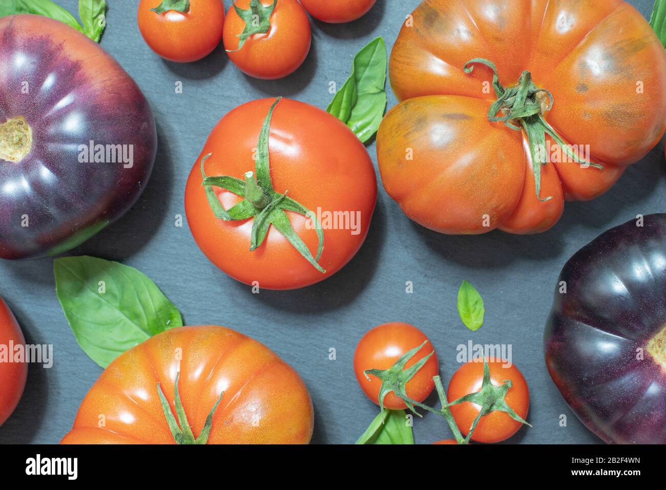 Red and purple assorted tomatoes with basil on black Stock Photo