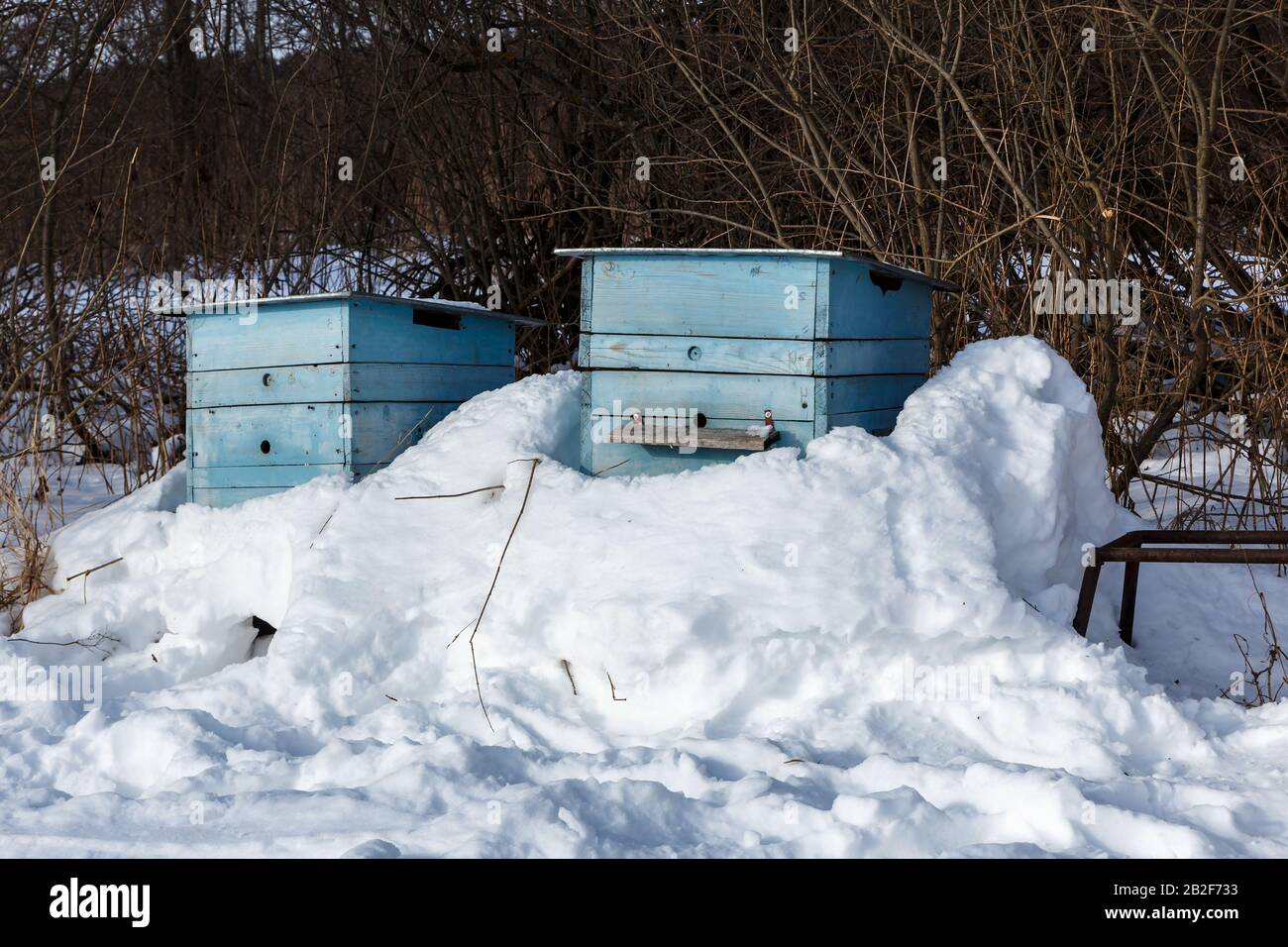 two blue bee hives covered in snow in a winter forest Stock Photo