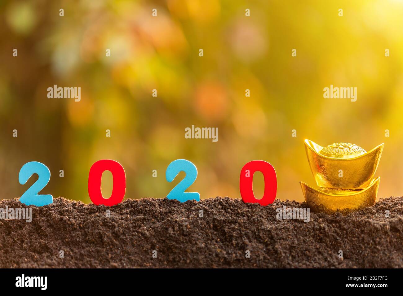 Color number 2020 with Chinese new year decoration on top of the soil ...