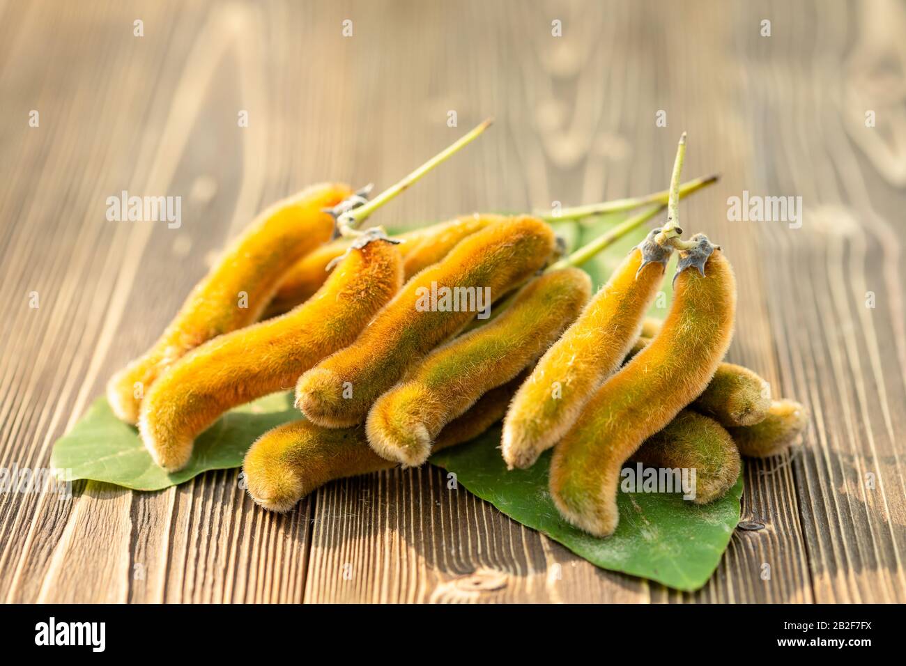 Close up bunch of Mucuna pruriens on wooden table Stock Photo