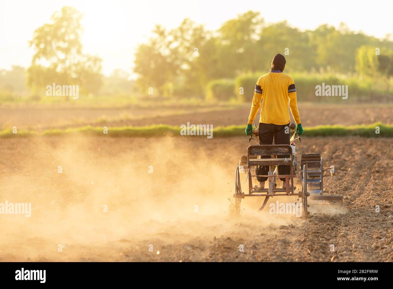 People is working in the land and driving small tractor to prepare the soil for growth tobacco season in northern, Thailand Stock Photo