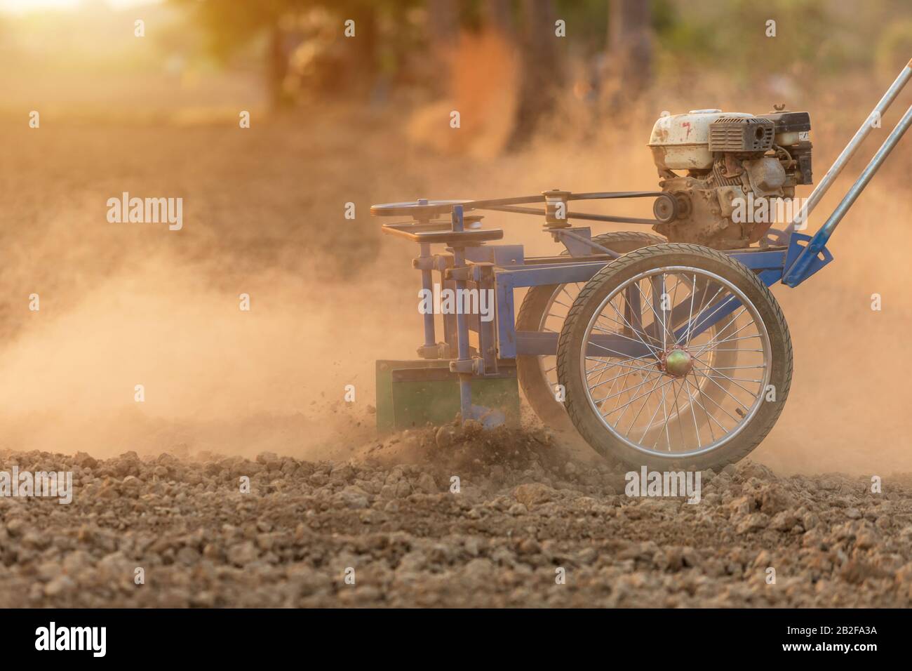 Thai farmer working in the land and making the hole on soil with machine to prepare the soil for growth tobacco season in Thailand. Shooting sunset ti Stock Photo