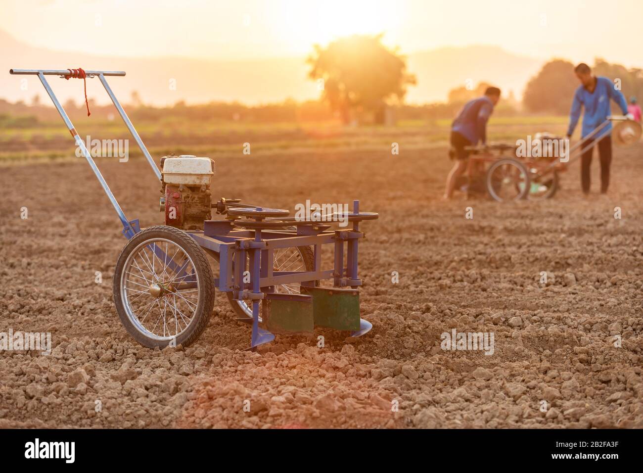 Thai farmer working in the land and making the hole on soil with machine to prepare the soil for growth tobacco season in Thailand. Shooting sunset ti Stock Photo