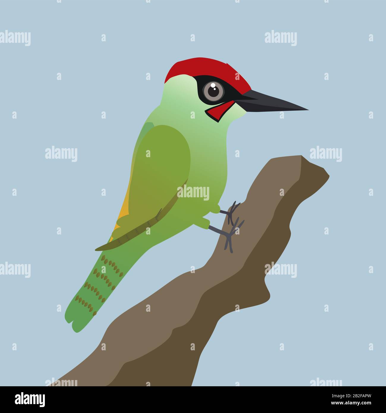 A vector illustration of a green woodpecker on a tree trunk with a blue background Stock Vector