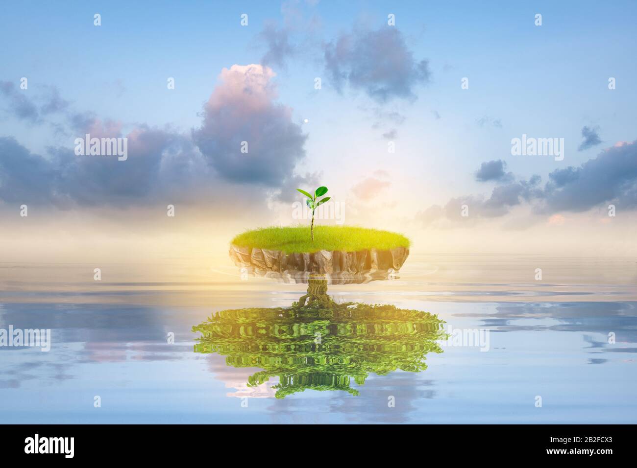 Small green island with lonely tree reflection in quiet water of the ocean.Nature landscape with summer meadow and blue sky. Friendly ecosystem for bu Stock Photo