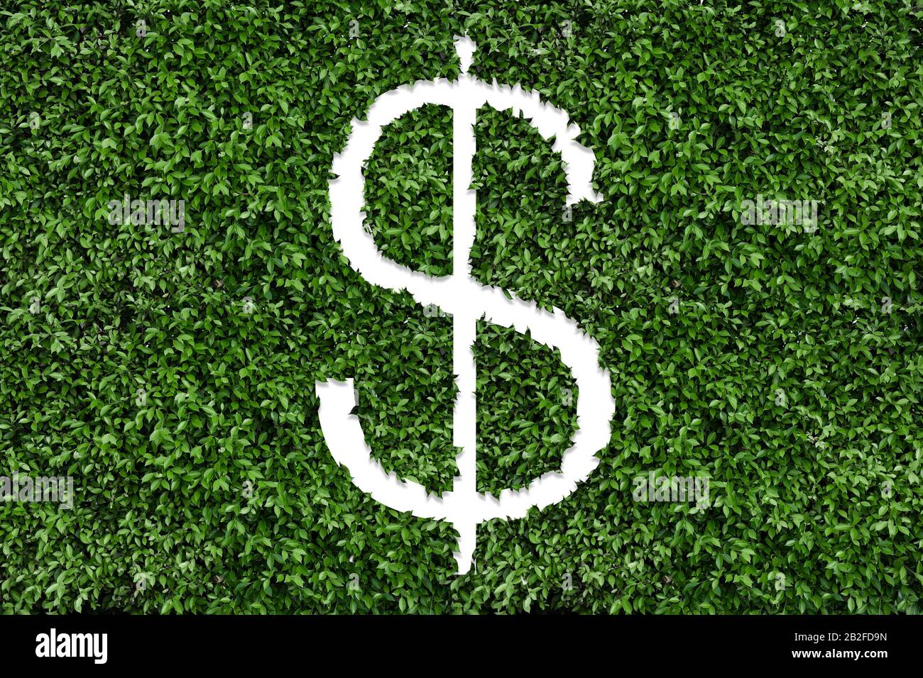 Green plant in shape of dollar sign grows at green field. Friendly ecosystem for business and investment. Banking and foreign exchange market. Stock Photo