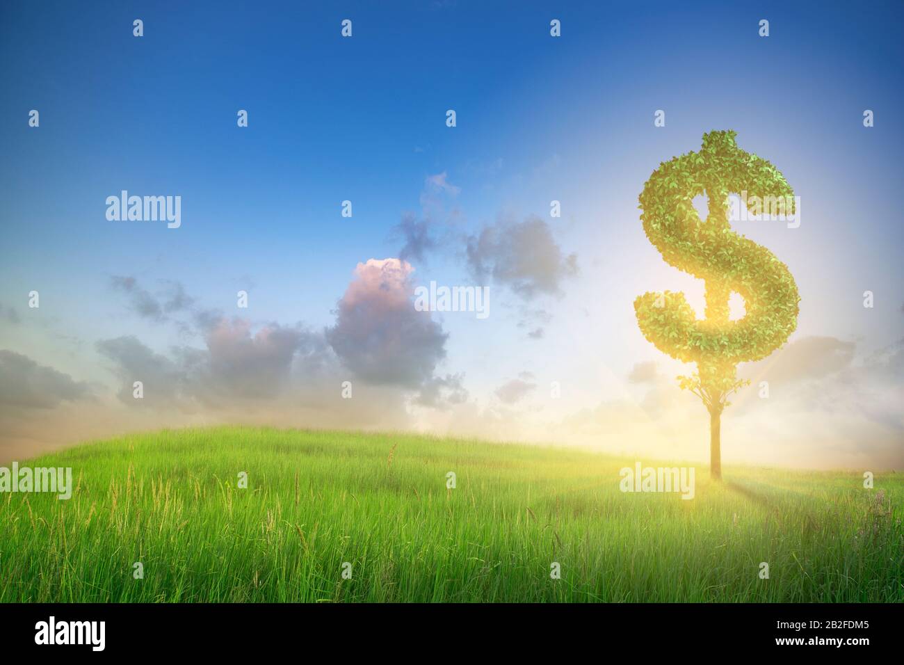 Green plant in shape of dollar sign grows at green field. Nature landscape with summer meadow and blue sky. Friendly ecosystem for business and invest Stock Photo