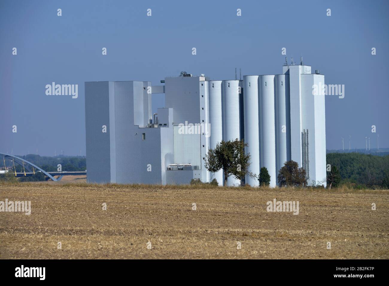 Getreidespeicher, Magdeburger Boerde, Sachsen-Anhalt, Deutschland Stock Photo
