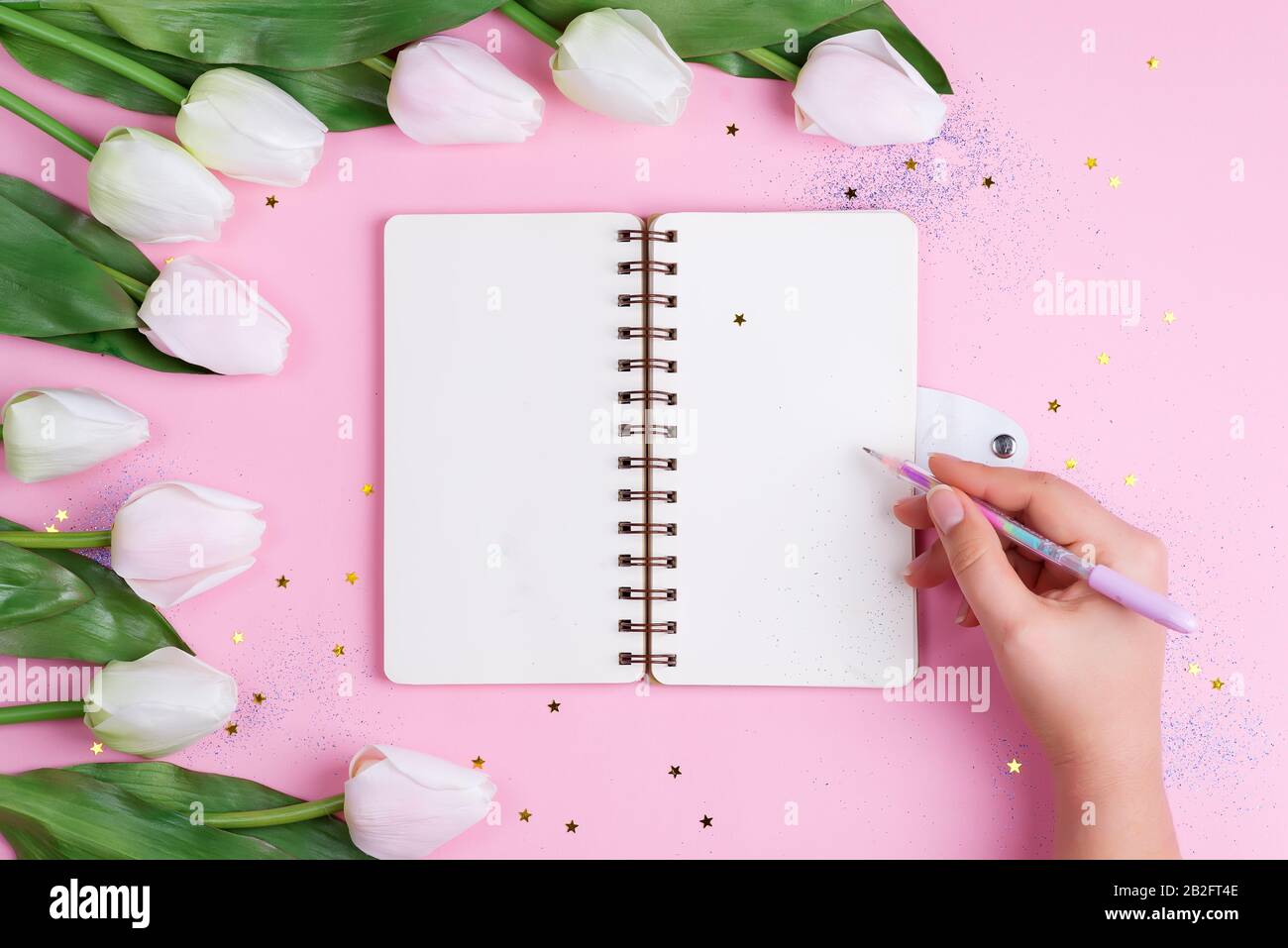 Pastel Tulips with notebook and hand hold a pen on pink background with stars, copy space Stock Photo