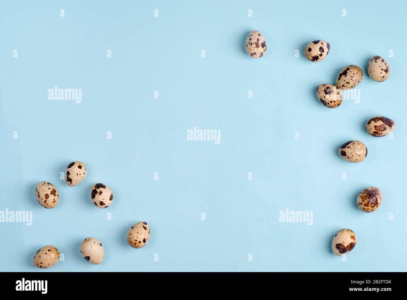 Quail eggs on a blue paper background, top view, square frame Stock Photo