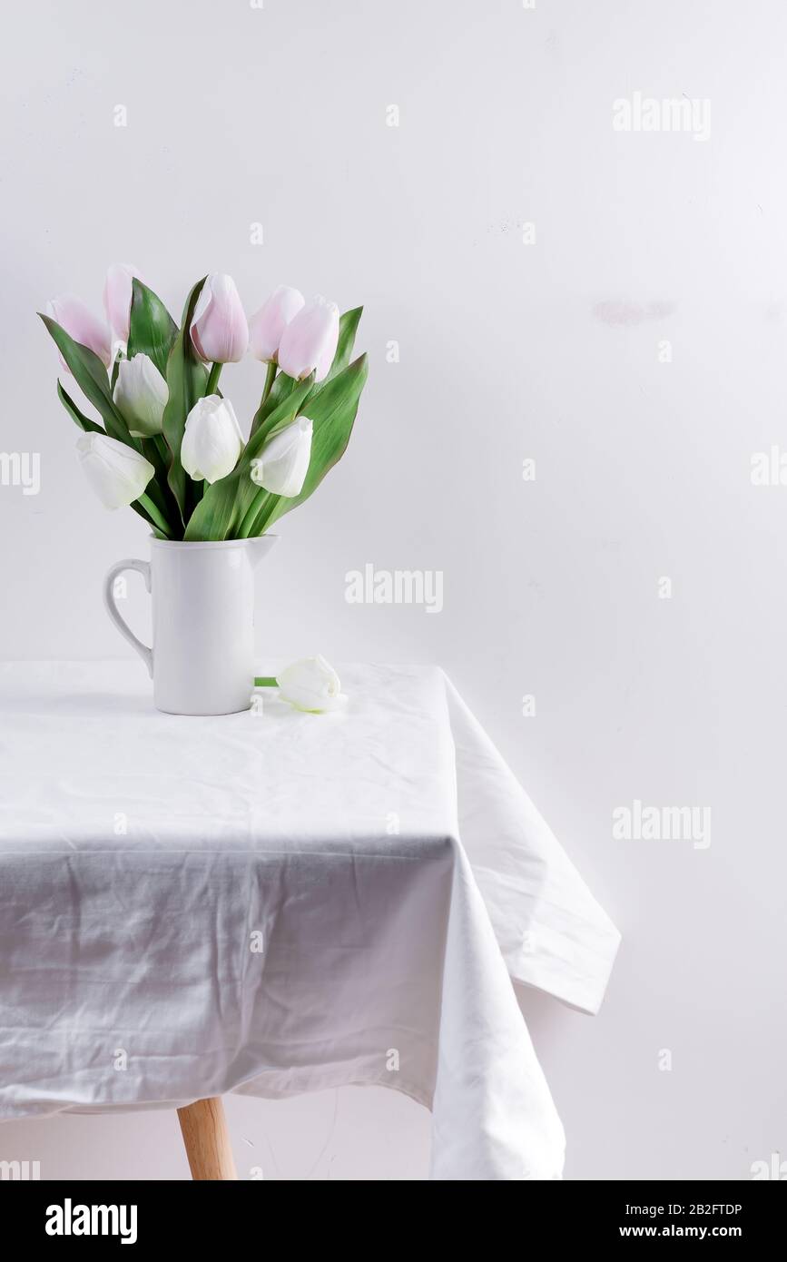Bunch ofwhite and pink tulips in a white vase on white table Stock Photo