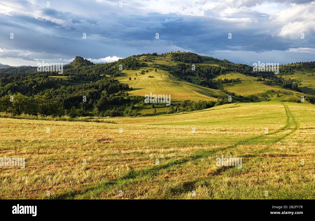 Meadow in mountain after storm Stock Photo