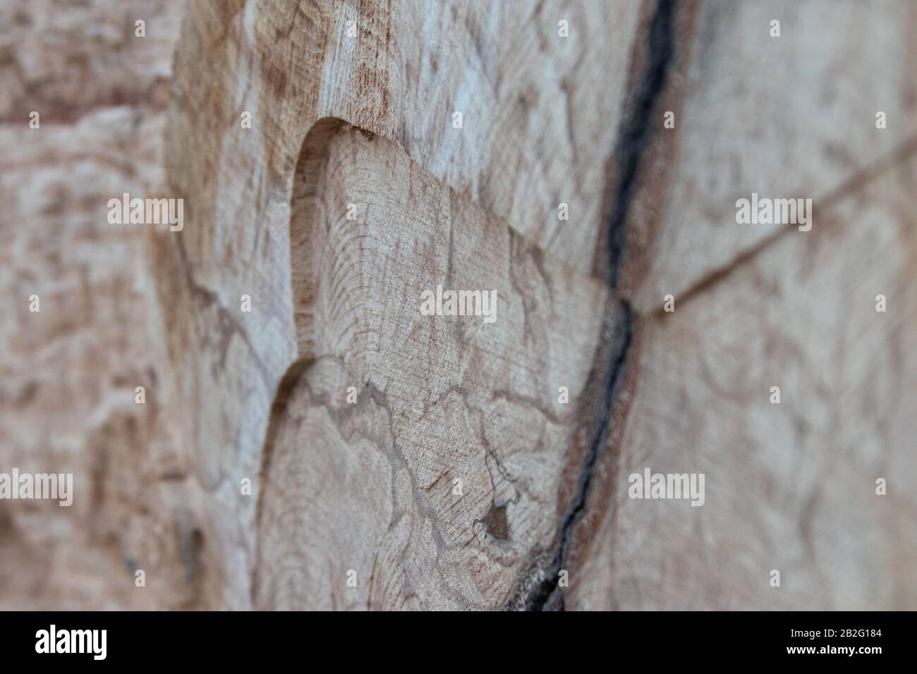 A detailed view of a piece of wood with visible imperfections and wood grain Stock Photo