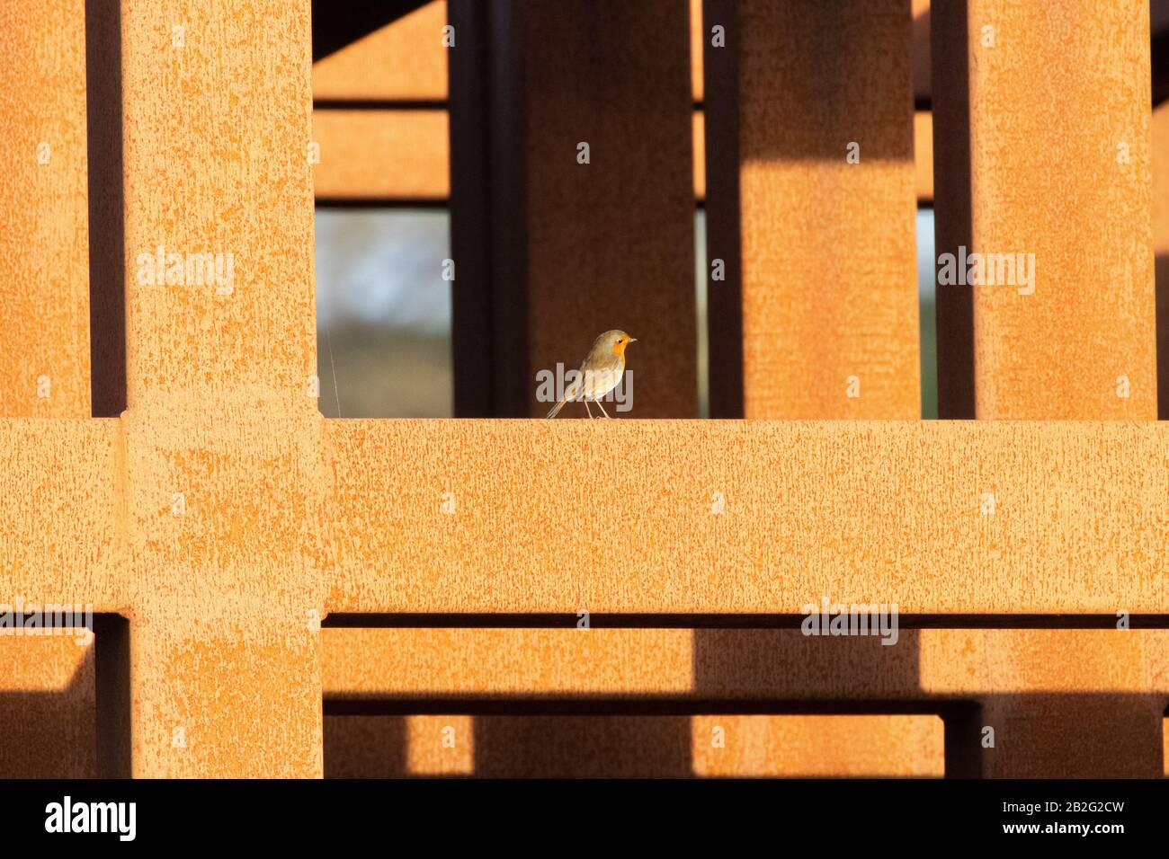 A robin red breast perched on a rusty metal structure Stock Photo
