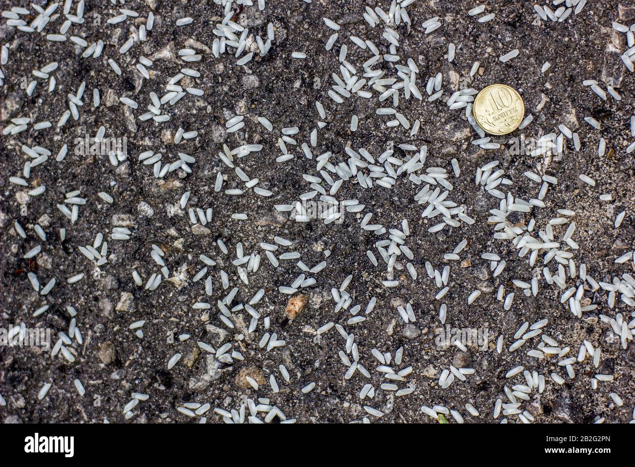 rice and coin on the ground in a wedding ceremony Stock Photo - Alamy