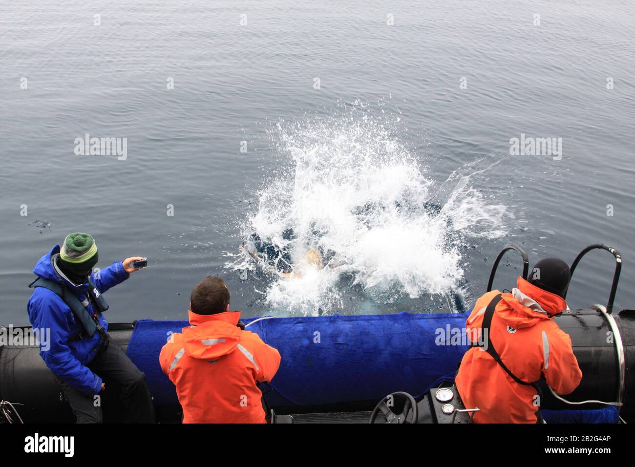 Polar Plunge Arctic Hi-res Stock Photography And Images - Alamy