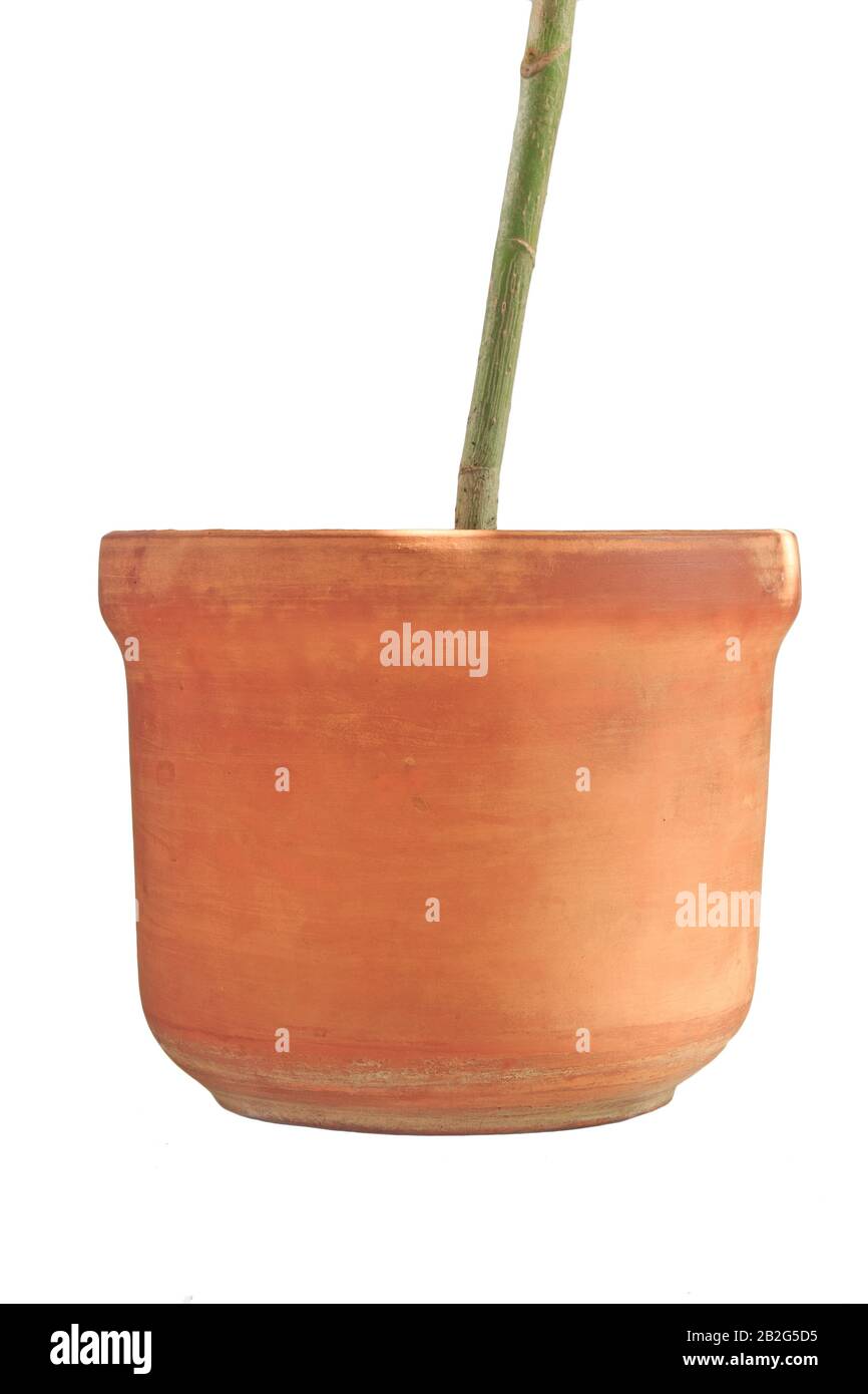 Clay flower pot, isolated on white background Stock Photo - Alamy
