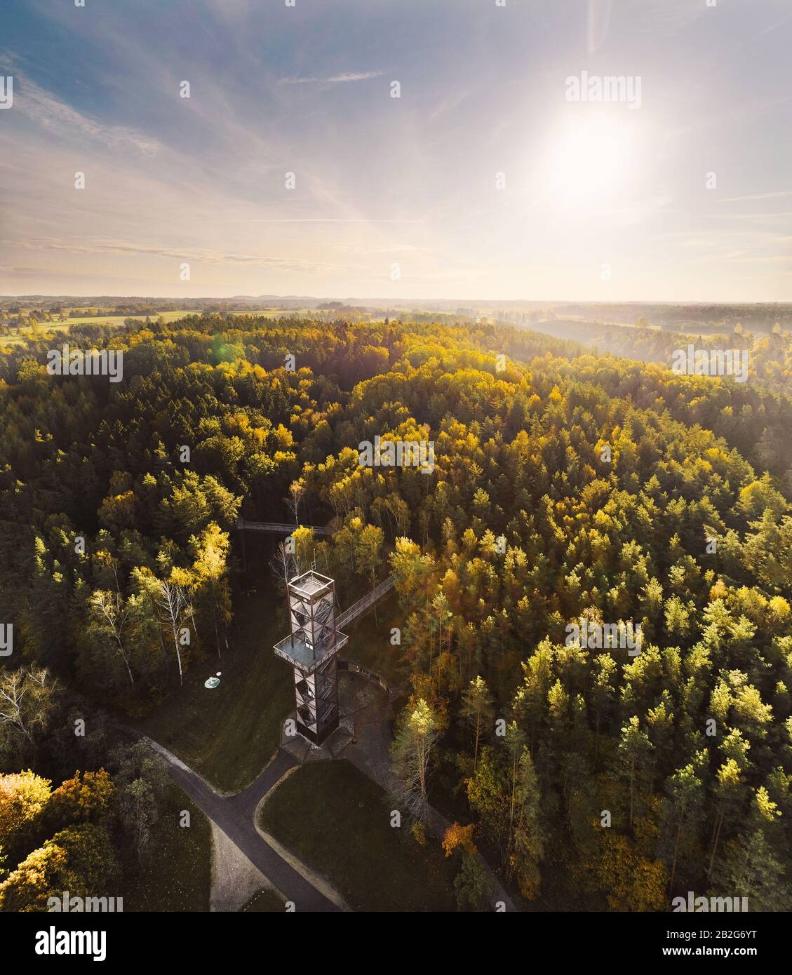 The Treetop Walking Path in Anykščiai Lithuania from the drone perspective Stock Photo