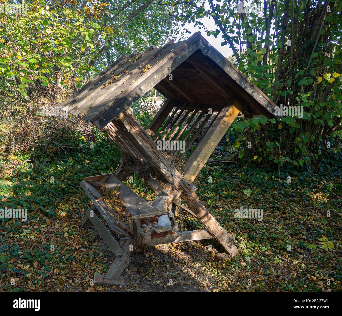 Feed manger for wild animals in a small clearing in the forest Stock Photo