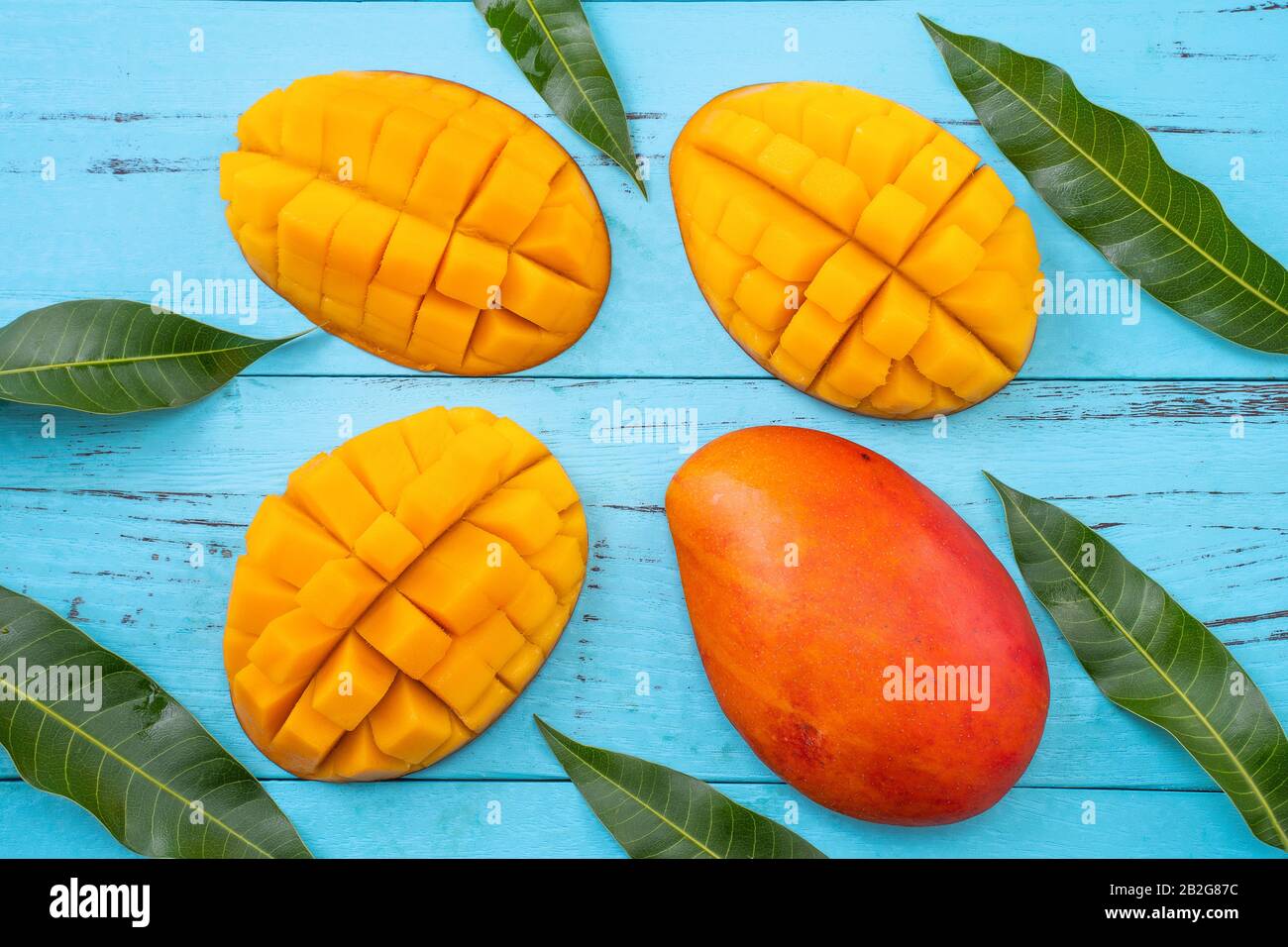 Mango - Fresh chopped tropical mango fruit isolated on bright vibrant ...