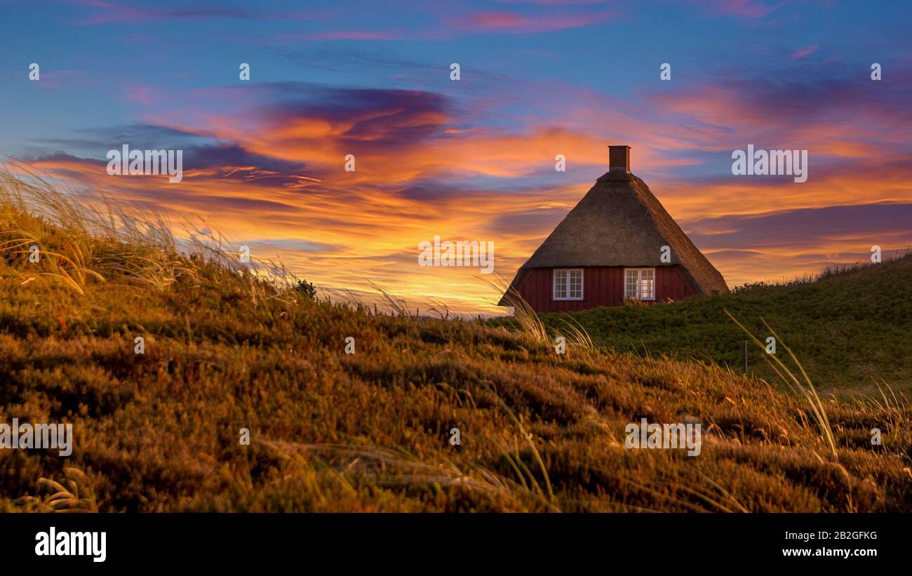 Nymindegab, Denmark - 07 Juli 2018: Small red house on the Danish west  coast that is filled with beautiful nature and dunes Stock Photo - Alamy