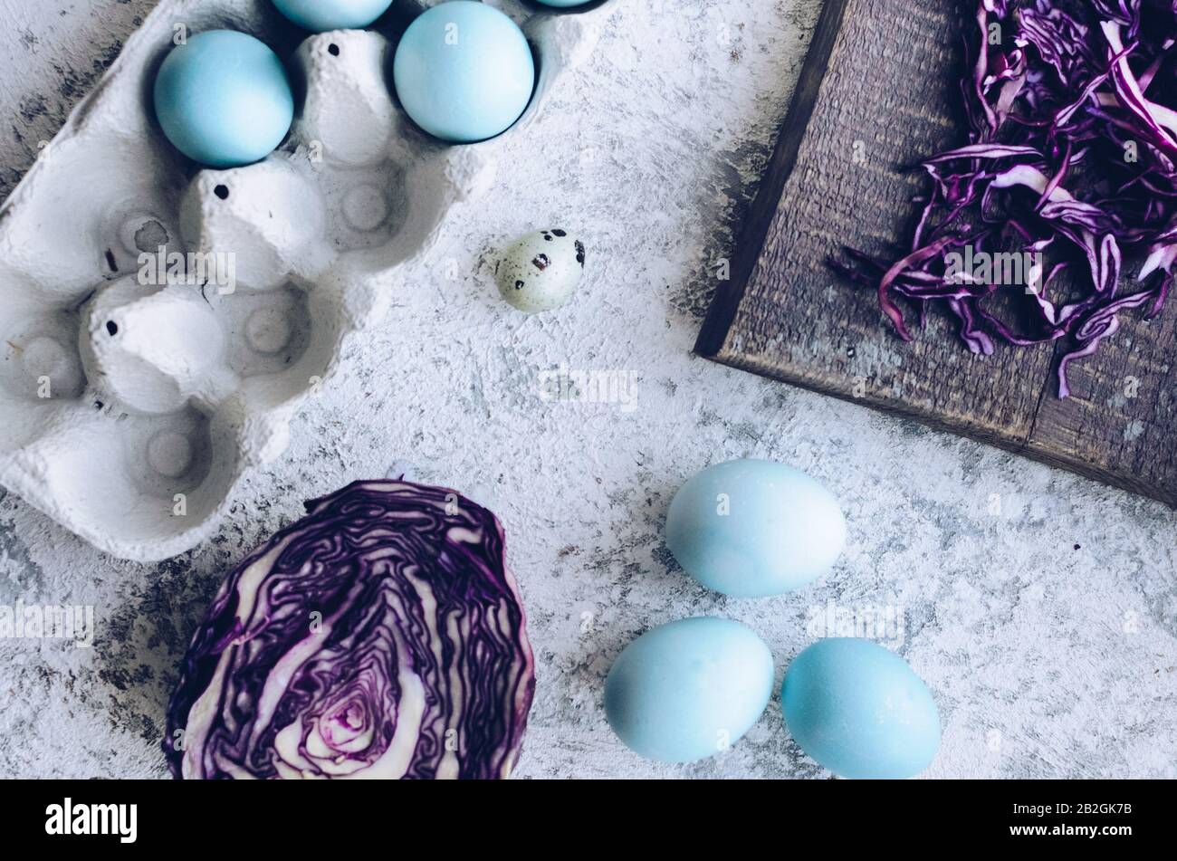 Dyed blue Easter eggs painted with natural dye red cabbage on grey ...