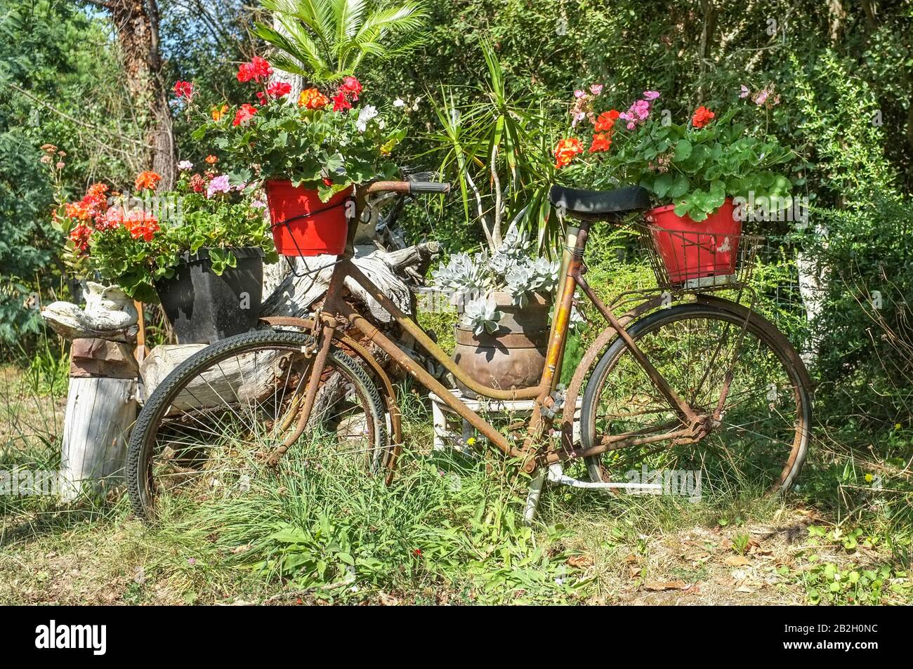 Flower planter hires stock photography and images Alamy