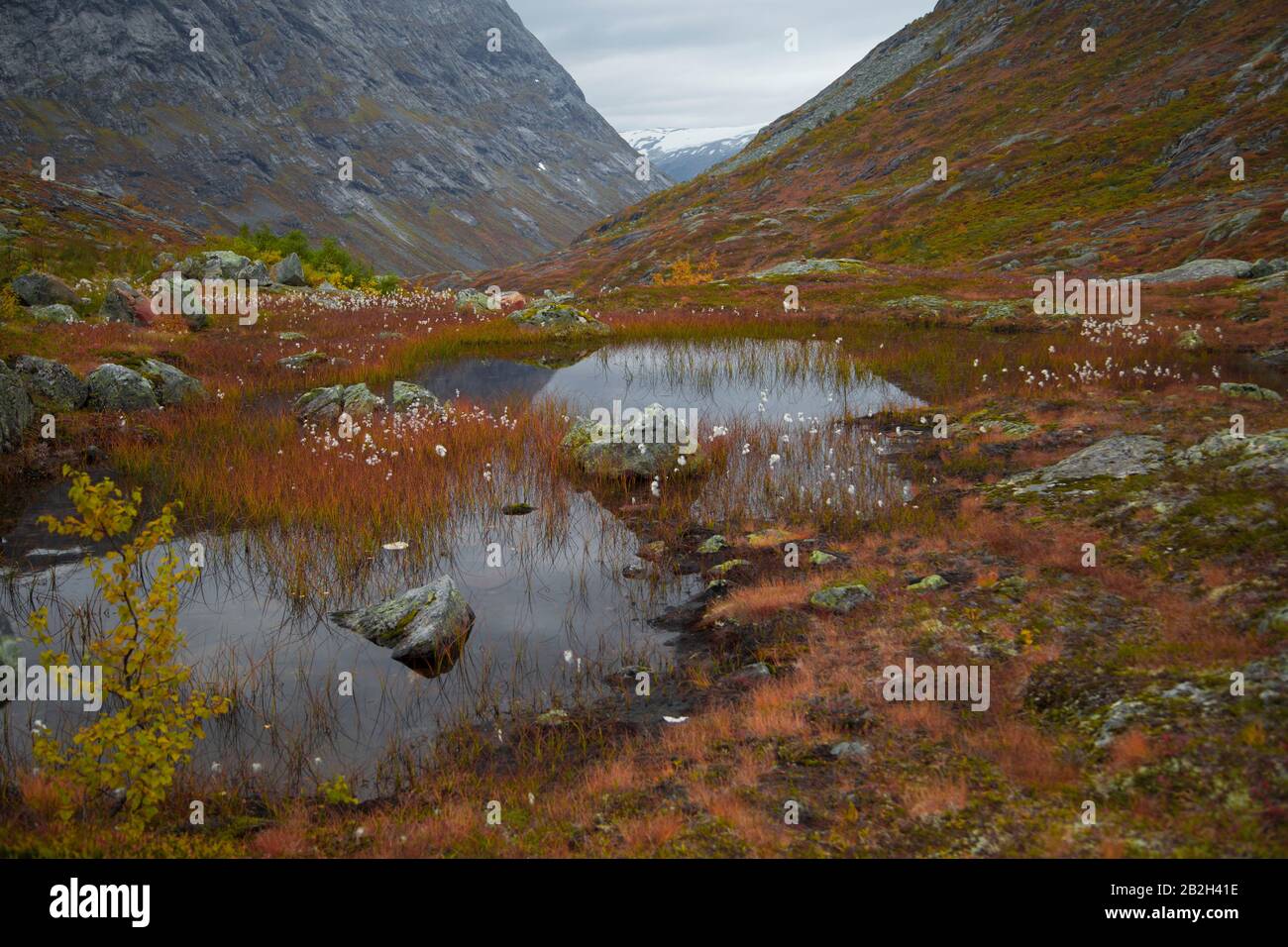 Beautiful colors surrounding a small lake in the Norwegian mountains Stock Photo
