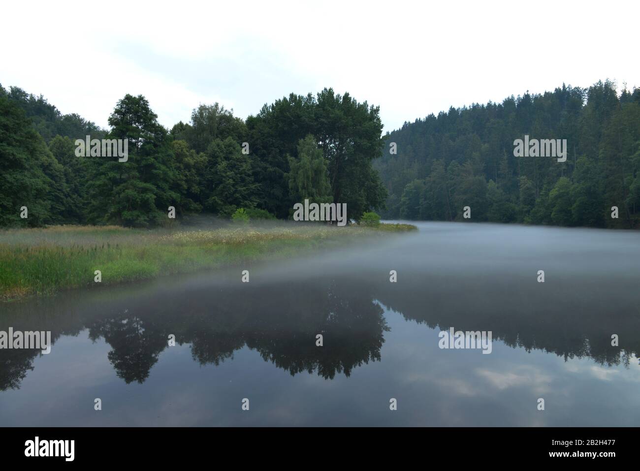 Nebel, Saale, Naturpark Thueringer Schiefergebirge/Obere Saale, Thueringen, Deutschland Stock Photo