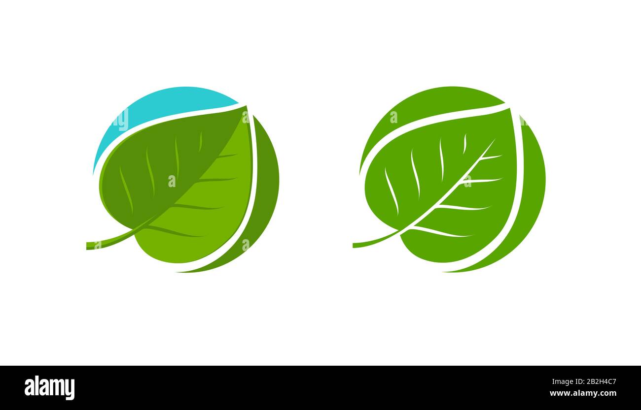 Green leaf logo. Natural or organic symbol vector illustration Stock Vector