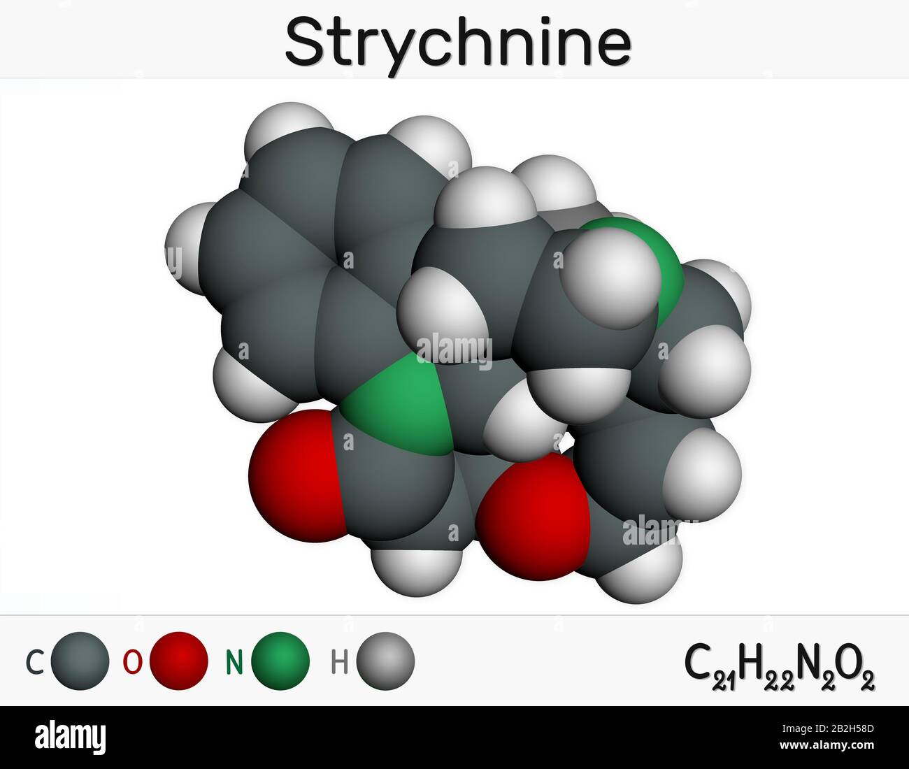 Strychnine, C21H22N2O2,  molecule. It is monoterpenoid indole alkaloid, is from the seeds of the Strychnos nux-vomica tree. Used for destroying rodent Stock Photo