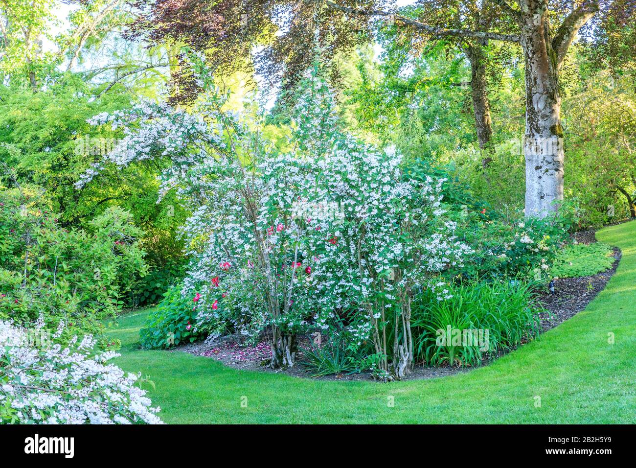 France, Cher, Apremont sur Allier, labelled Les Plus Beaux Villages de France (The Most Beautiful Villages of France), Parc Floral d’Apremont sur Alli Stock Photo