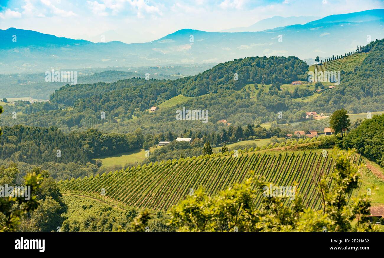 Vineyards in south styria in Austria. Landscape of Leibnitz area from Kogelberg. Stock Photo