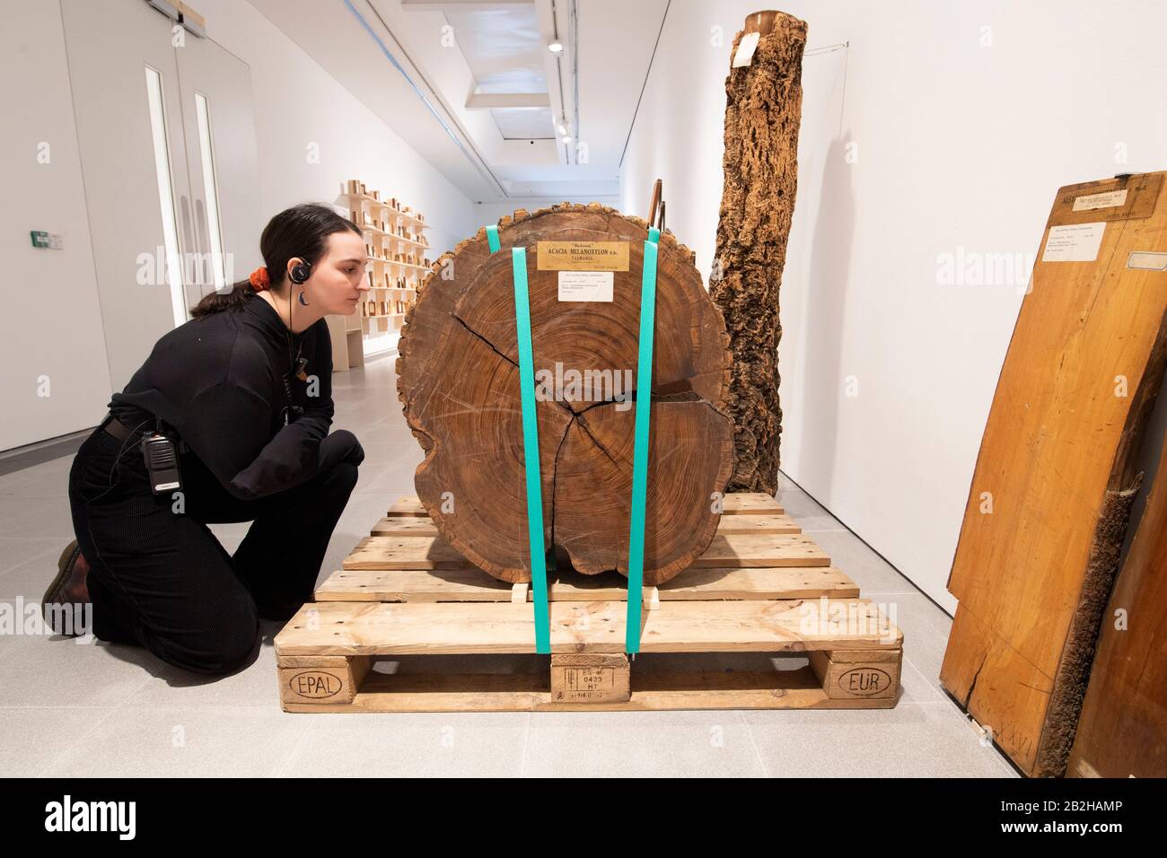 Great Exhibition London 1851 Objects High Resolution Stock Photography And Images Alamy Great Exhibition London 1851 Objects High Resolution Stock Photography And Images Alamy