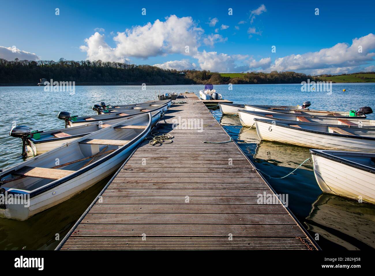 Leisure rowing boats tied and  moored to a jetty in a lake in Wales United Kingdom Stock Photo