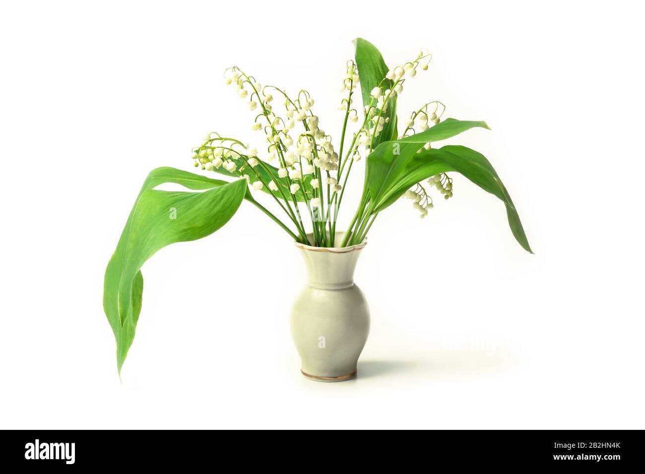 Lily of the valley vector hi-res stock photography and images - Alamy