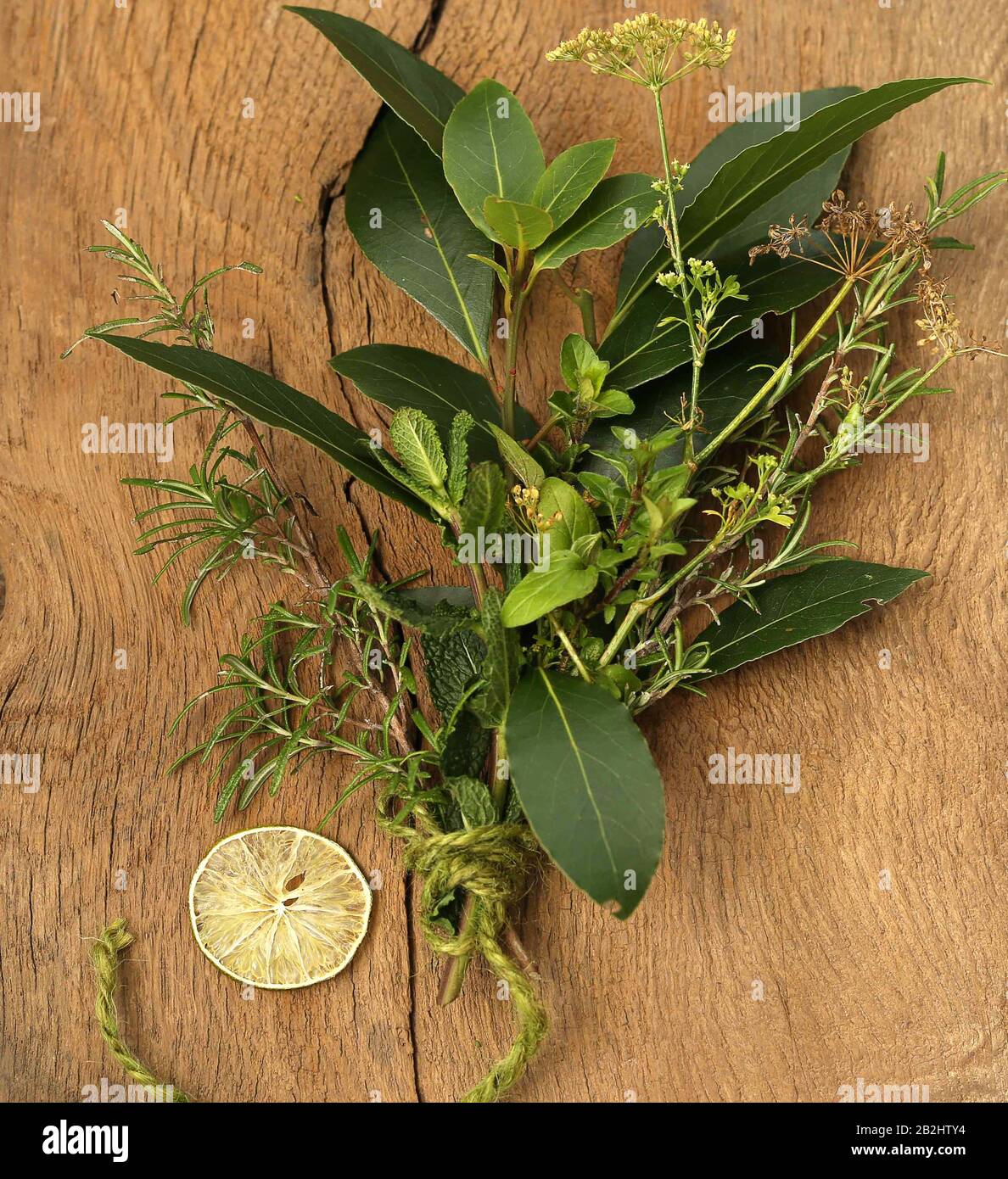 bunch of green spicy from the garden, aroma world,Flavor of Italy, spicy herb,  spicy of Italy, Asian spicy, spicy world, fresh spicy Stock Photo