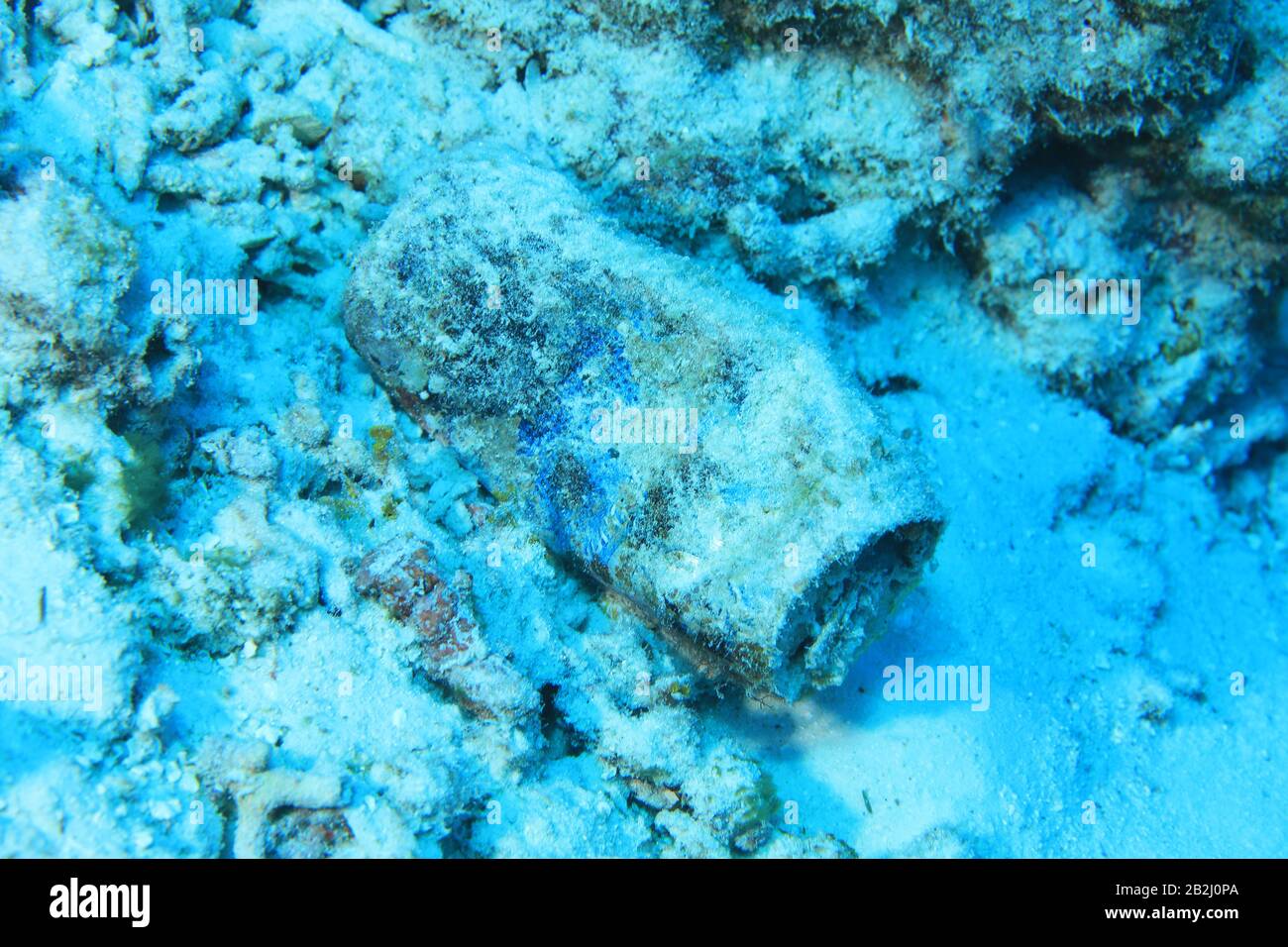 Old drink can underwater on the bottom of the indian ocean Stock Photo
