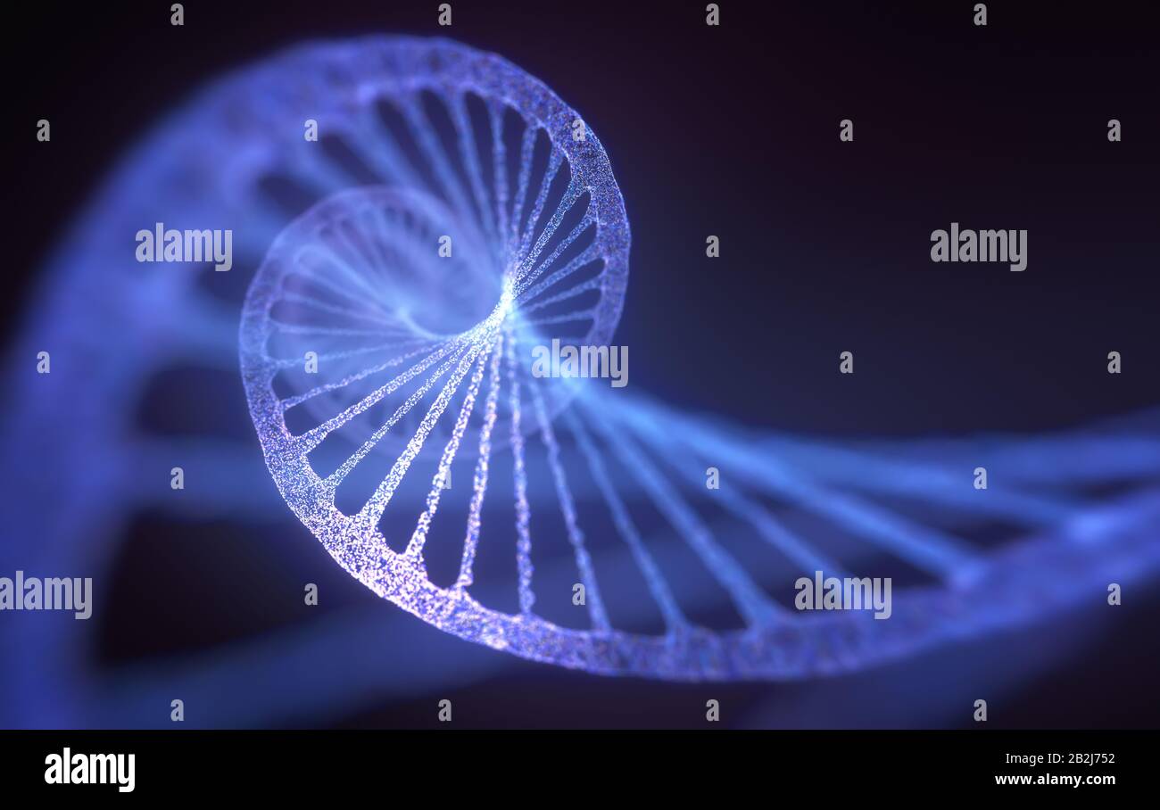 3D illustration of DNA made by molecules called nucleotides. The four types of nitrogen bases