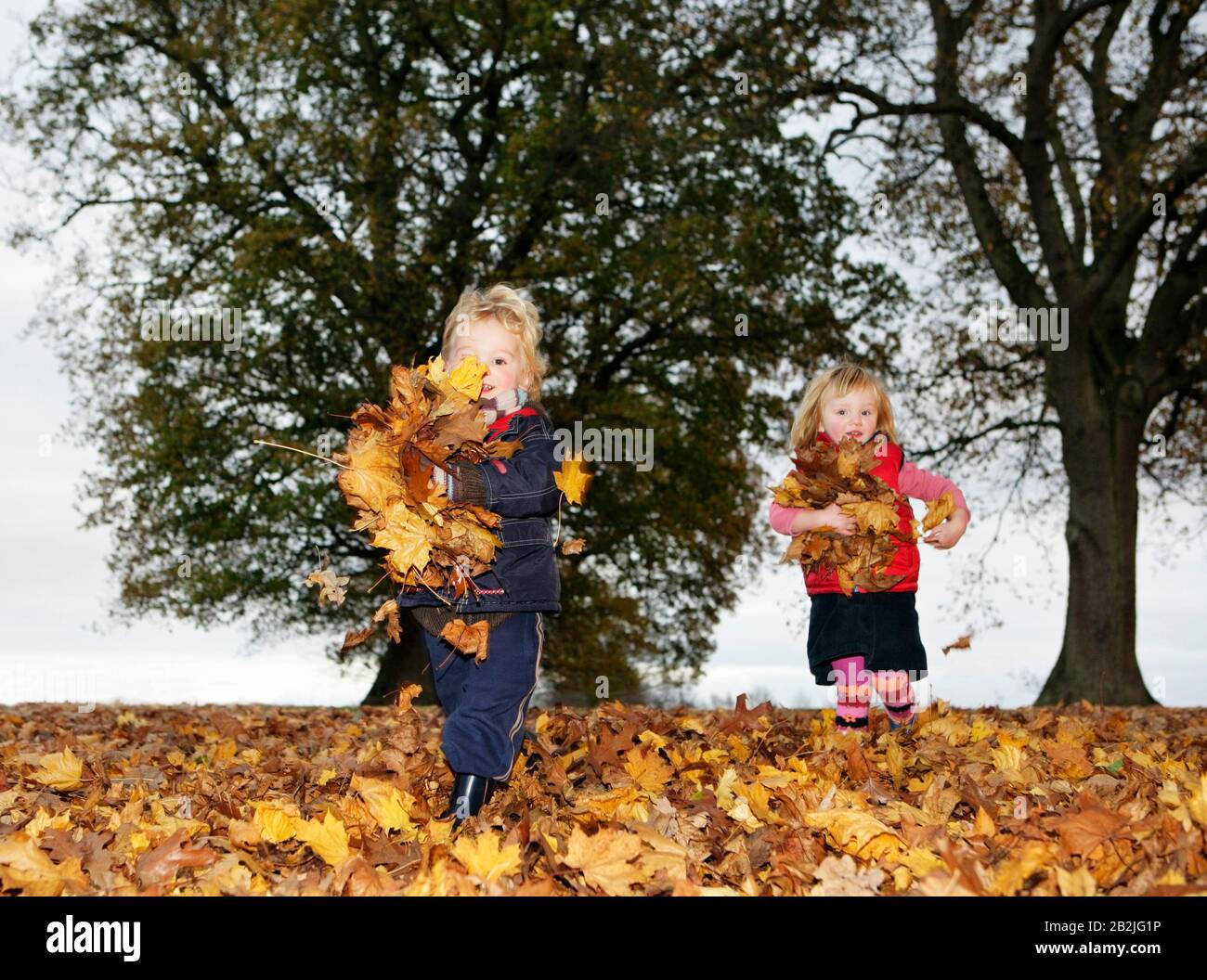 Girl playing leaves in hi-res stock photography and images - Alamy