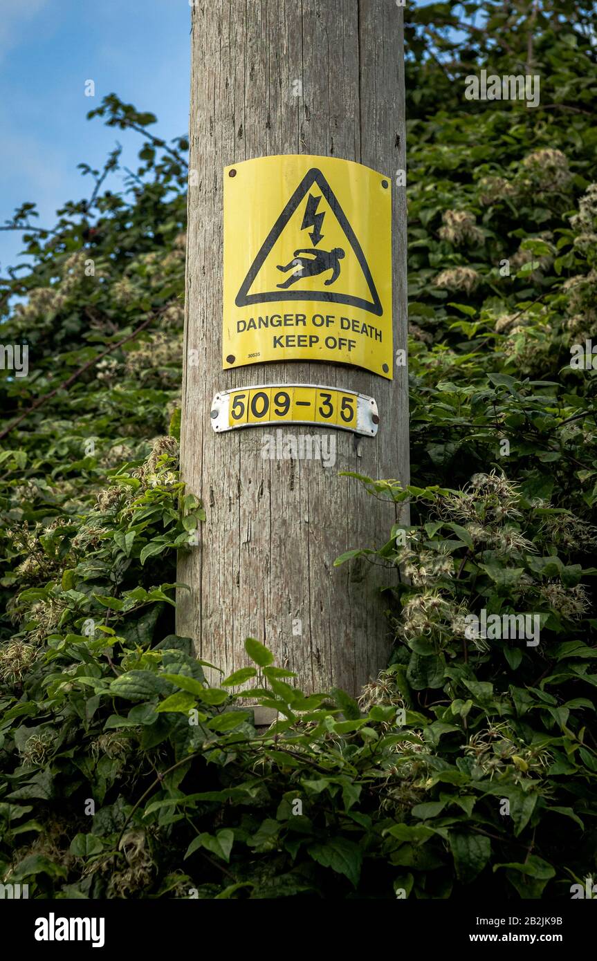 Wooden electrical pole with yellow danger sign surrounded by leaves and bushes Stock Photo