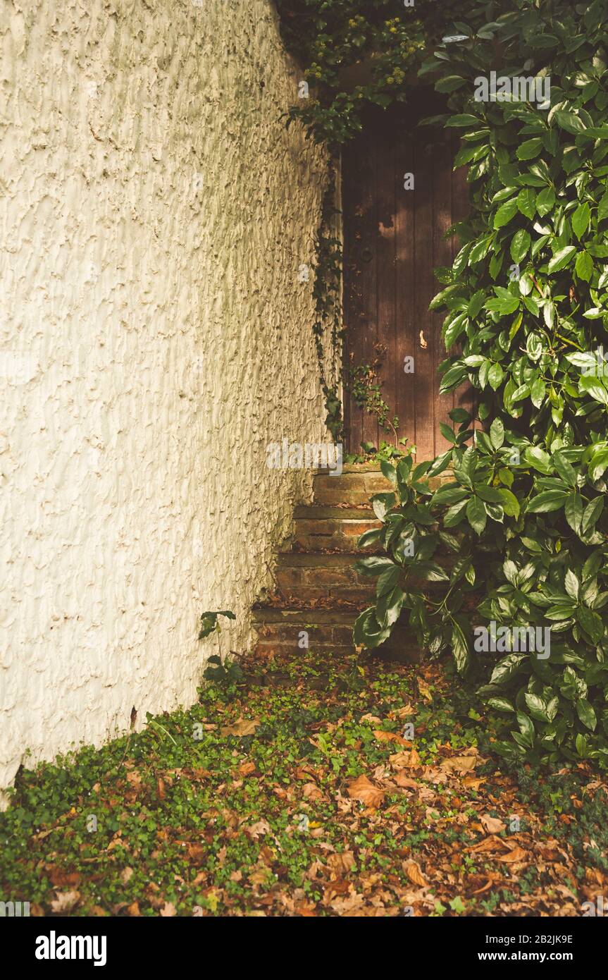 Bright steps leading to a wooden door and surrounded by a leafy bush. Stock Photo