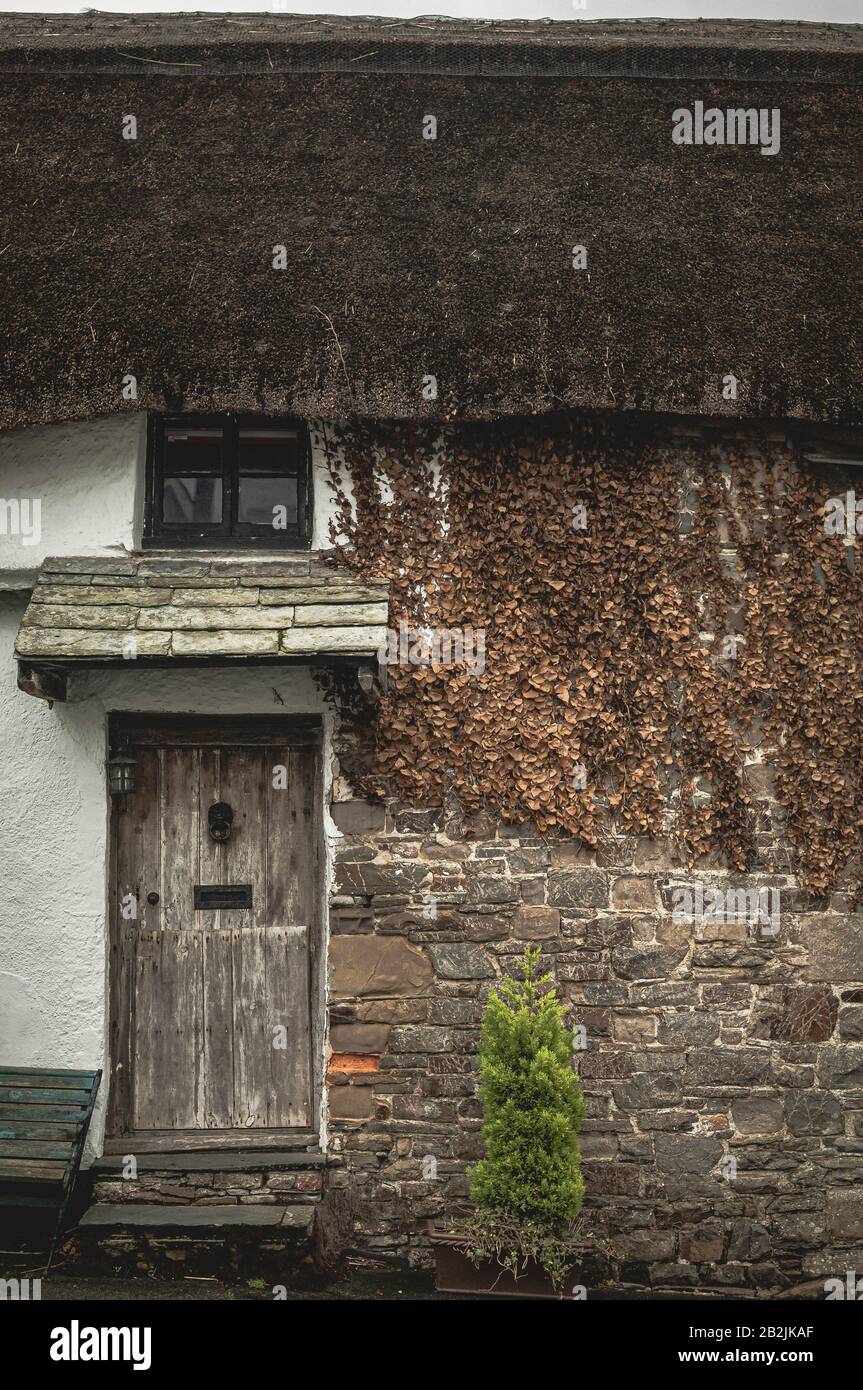 Thatched country cottage in Stratton, Cornwall Stock Photo