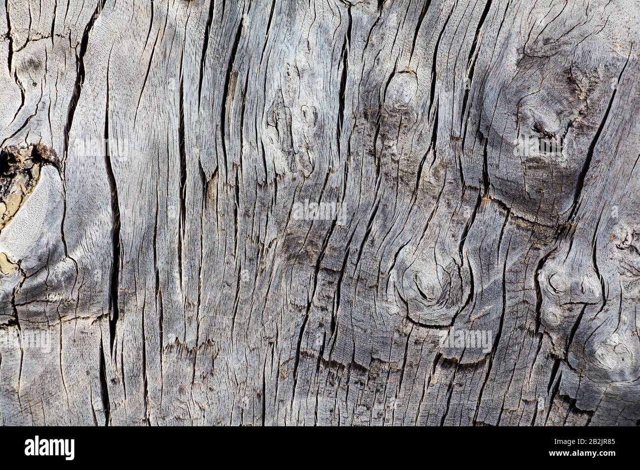 Old wood texture background Stock Photo