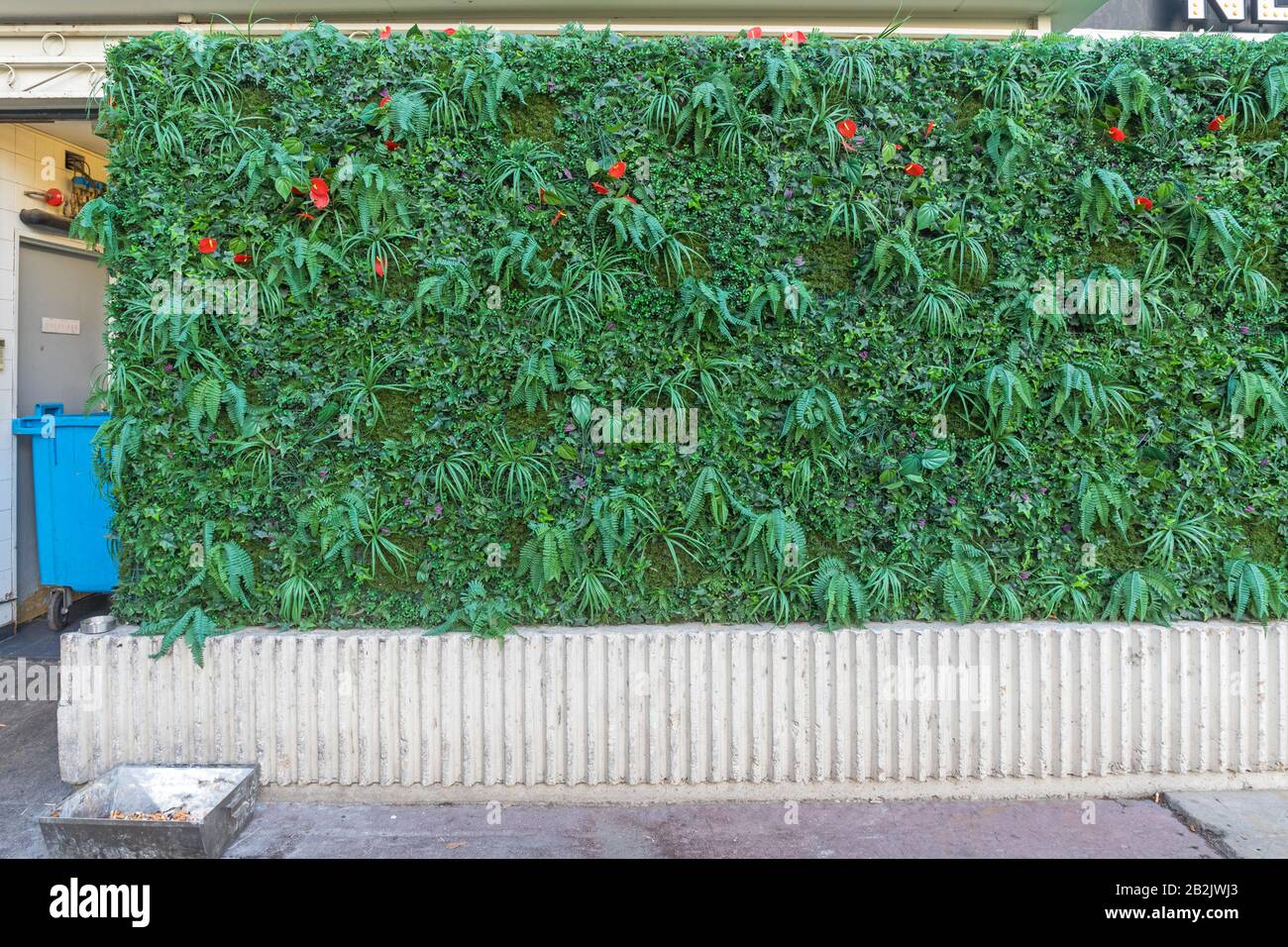 Artificial Flowers and Green Plants Hedge Wall Stock Photo Alamy