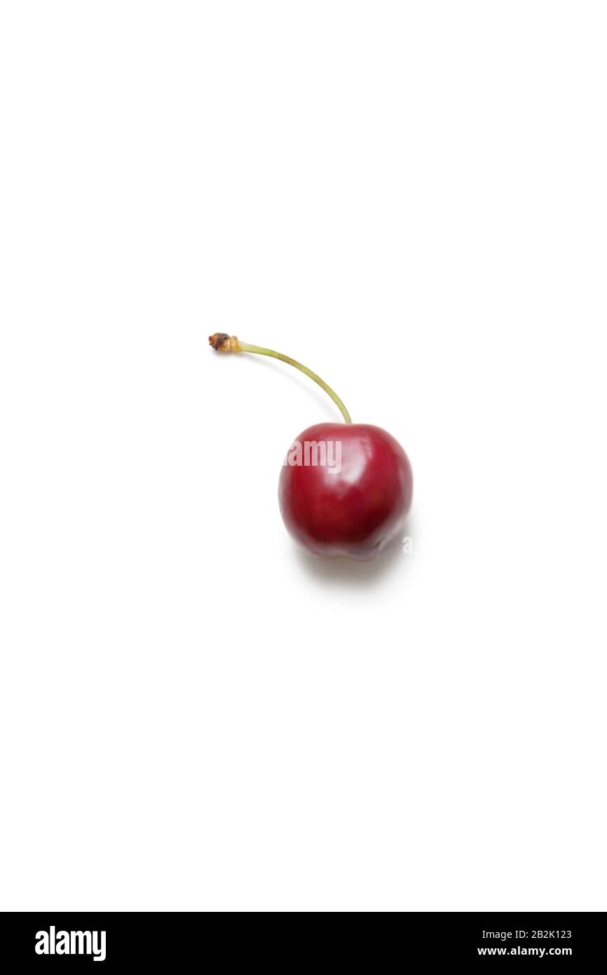Single cherry against white background Stock Photo